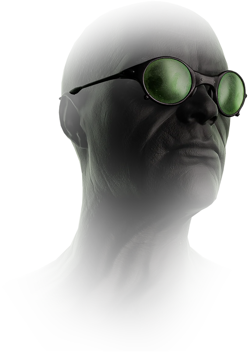 Figley sunglasses (Green)