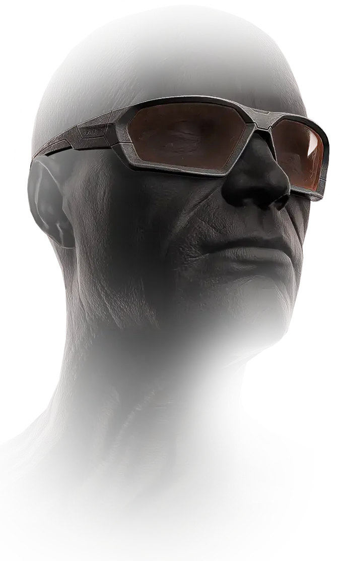 Revision ShadowStrike tactical glasses (Gray)