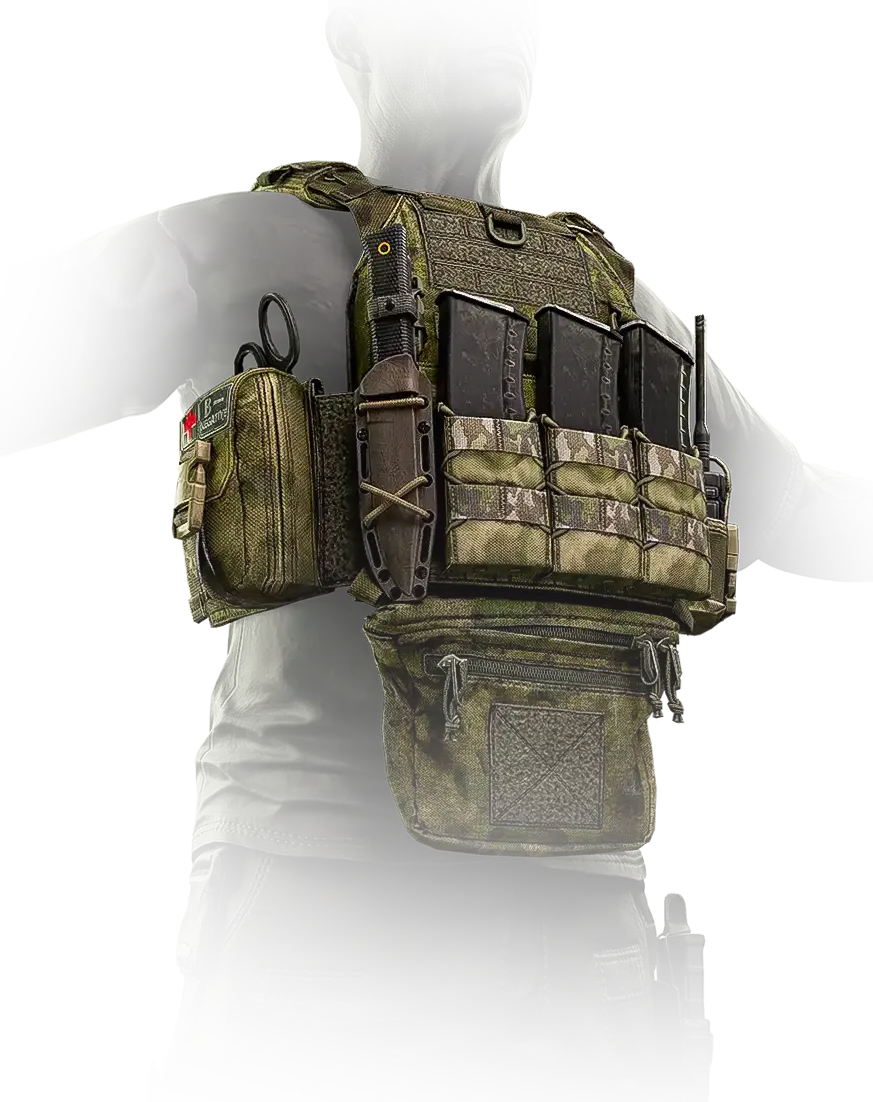 Stich Profi Plate Carrier V2 (A-TACS FG)