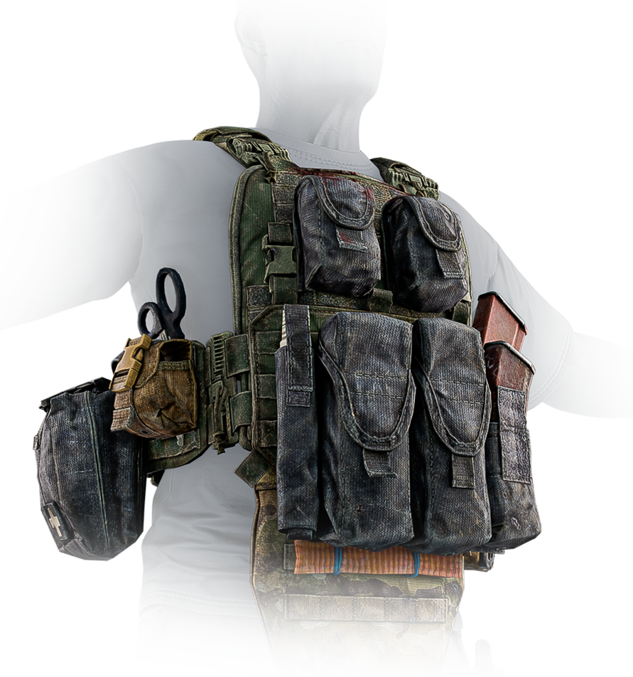 Stich Profi Stich Defense mod.2 plate carrier (Cleanup Crew)